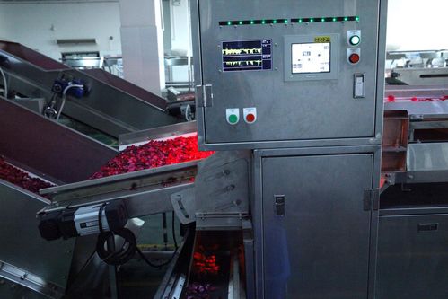 全面革新，智造美味 探秘嘉華食品花工廠技術升級之道